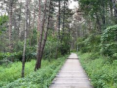 -帽儿山国家森林公园