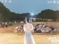 -繁花演艺 ·创意活动策划· 场地布置一站式服务