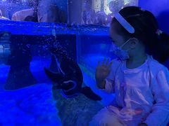 -婴智贝佳蒙特梭利早教托育中心(杨浦店)