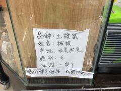 -乐宠宠物店(世纪金源店)