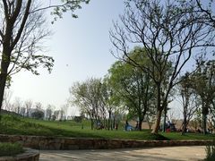 -盘龙城国家考古遗址公园