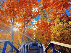 -云蒙山风景区