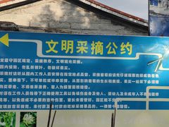 -海堤葡萄园中小学生研学基地