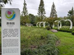 -昆山城市生态森林公园