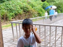 -五营红松林海景区