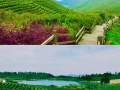 -东钱湖旅游度假区