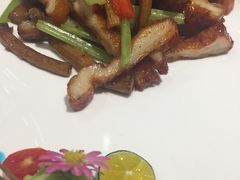 茶树菇-京粤荟(海王银河科技大厦店)