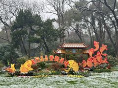 -杭州植物园