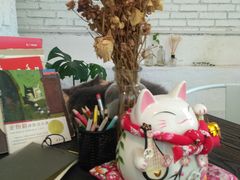 -有猫主题·治愈系猫咖(曾厝垵店)