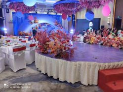 -苏州希尔顿酒店-宴会厅