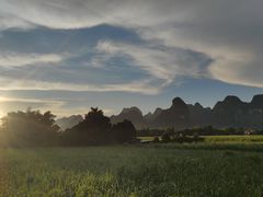 -明仕田园