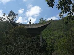 -天台山琼台仙谷景区