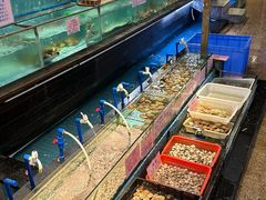 -荔城生鲜盛宴(番禺旗舰店)