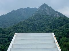 -南丹山森林王国