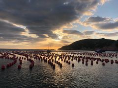 -枸杞岛