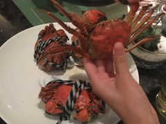 -浦东绿地铂骊酒店品珍轩中餐厅