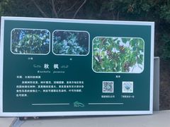 -福道