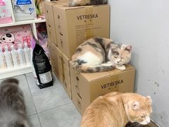 -极木²邸 人与宠物·互动社区