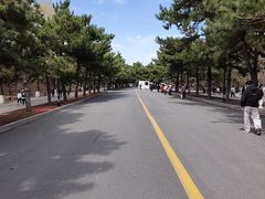 -北陵公园