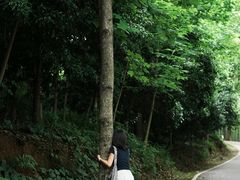 -潜山国家森林公园