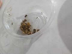 -文运街老粉店(文运街店)