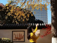 -郑和公园