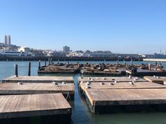 -阿尔卡特拉斯岛