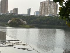 -南宁南湖公园