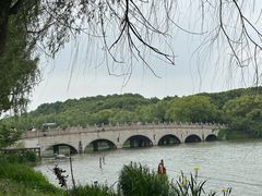 -昆山城市生态森林公园