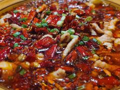 -老蜀人川菜馆(中关村店)