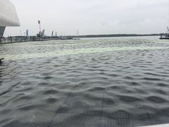 -抱抱地球咖啡馆(国家海洋博物馆店)