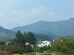 -黄牛肉馆·皖南土菜