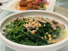 -宝园酒家(美林M·LIVE天地东座店)