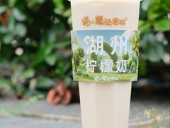 -猫的魔法密林(衣裳街店)