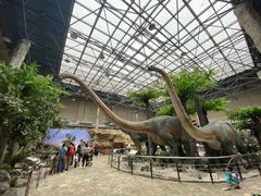 -国家自然博物馆