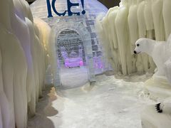 -宁波冰雪大世界(北仑区)