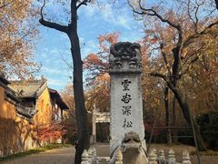 -灵谷景区