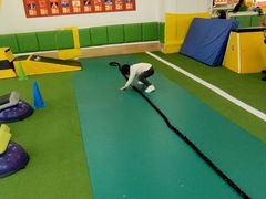 -尚励少儿体能运动(高升校区)