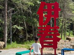 -汤旺河林海奇石景区