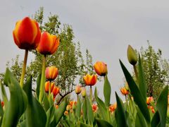 -长春公园(普阳街道)