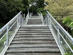 -佛山华盖山公园