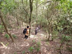 -桂山风景旅游区