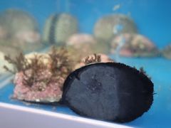 -同乐酒楼(皇后镇店)