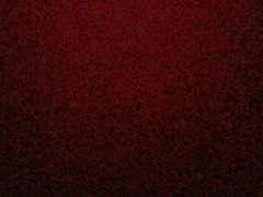 -YCHL Studios健身工作室(市二宫店)