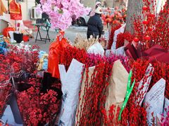 -宝鸡东道花鸟鱼虫市场(吉利花园商场店)