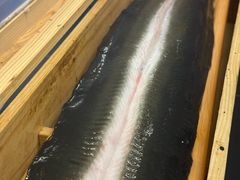 -银座苑烧肉酒场·烤活鳗(仙霞路店)