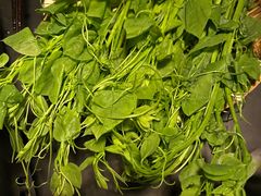 -毛辣果·酸(OHA复兴西路店)