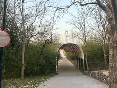 -西部长青自然儿童乐园