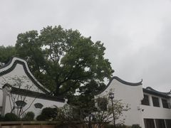 -古琴台