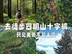 -四明山国家森林公园